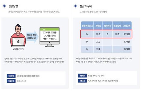 ▲ 부동산 거래질서교란행위 위반 유형. (사진=국토교통부 제공)