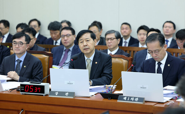 ▲ 질의에 답하는 구윤철 부총리. /뉴시스