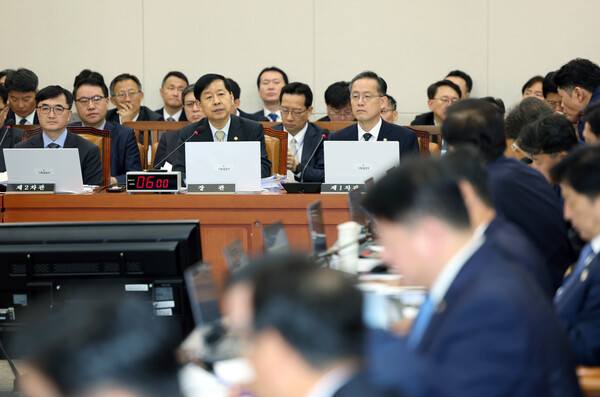 ▲ 질의에 답하는 구윤철 부총리. /뉴시스