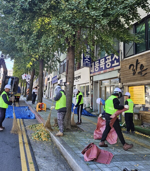 ▲ 은행나무 열매 제거 모습.