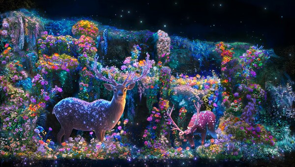 ▲ 미디어파사드 사진.