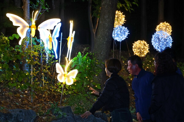 ▲ 도림동 빛의 거리 조성 모습.