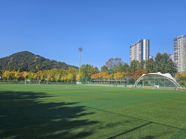 ▲ 옥구공원 축구장 전경.