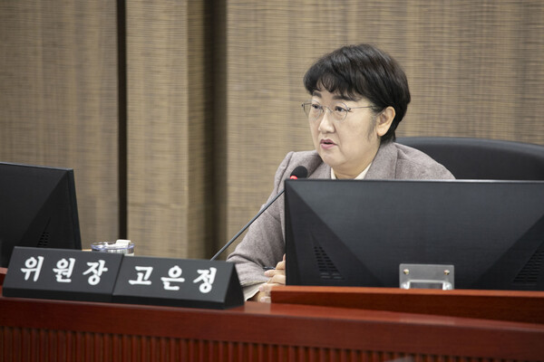 ▲ 경제노동위원회 고은정 위원장.