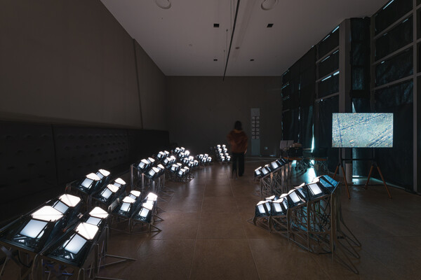 ▲ ‘향일군락’ 전시 전경.