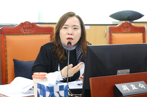 ▲ 경기도의회 최효숙 의원.