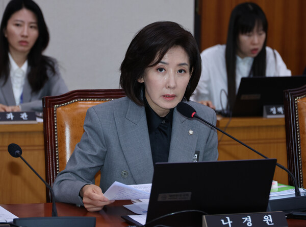 ▲ 나경원 국민의힘 의원. /뉴시스