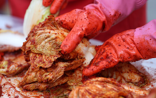 ▲ 대구 동구 아양아트센터 앞에서 열린 ‘2025 사랑플러스 김장 나눔’ 행사에서 새마을부녀회 등 봉사자 500여명이 배추를 양념에 버무리고 있다. /뉴시스