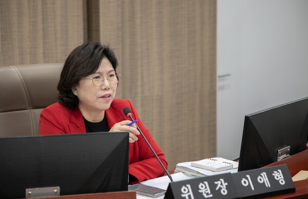 ▲ 경기도의회 이애형 의원.