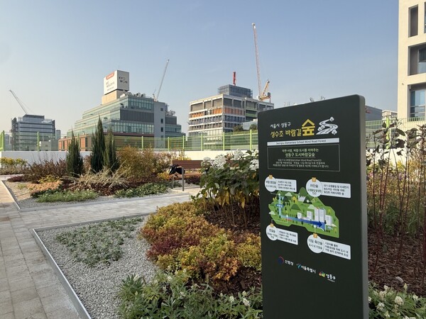 ▲ 성수초등학교 옥상에 조성한 ‘바람길숲’ 모습.