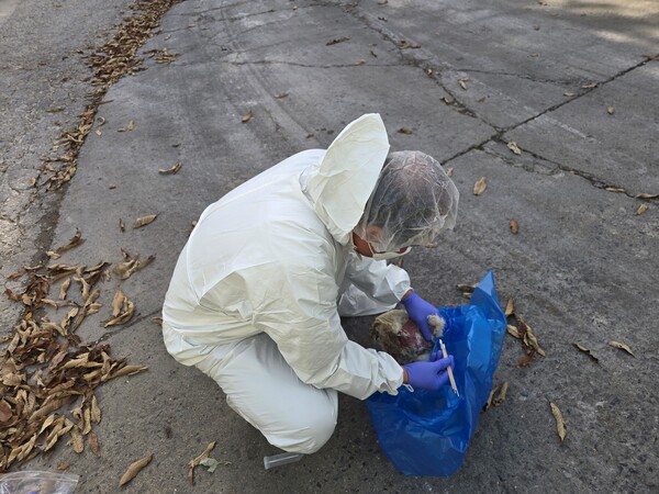 ▲ 시료채취 모습.