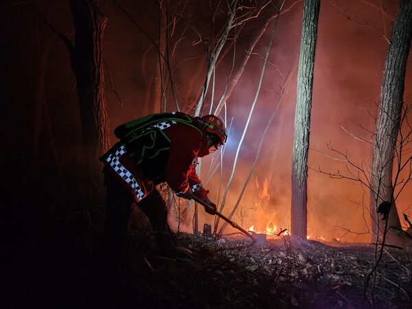 ▲ 22일 양양 서면 인근 야산에서 산불이 발생한 가운데 산림청 진화대원이 진화에 나서고 있다.(사진=산림청 제공)