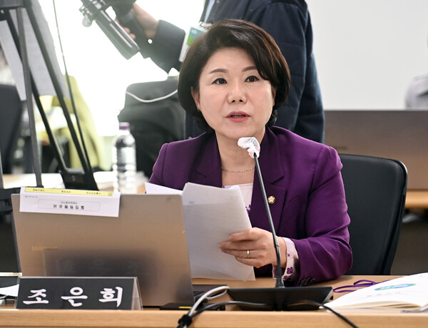▲ 질의하는 조은희 의원. /뉴시스