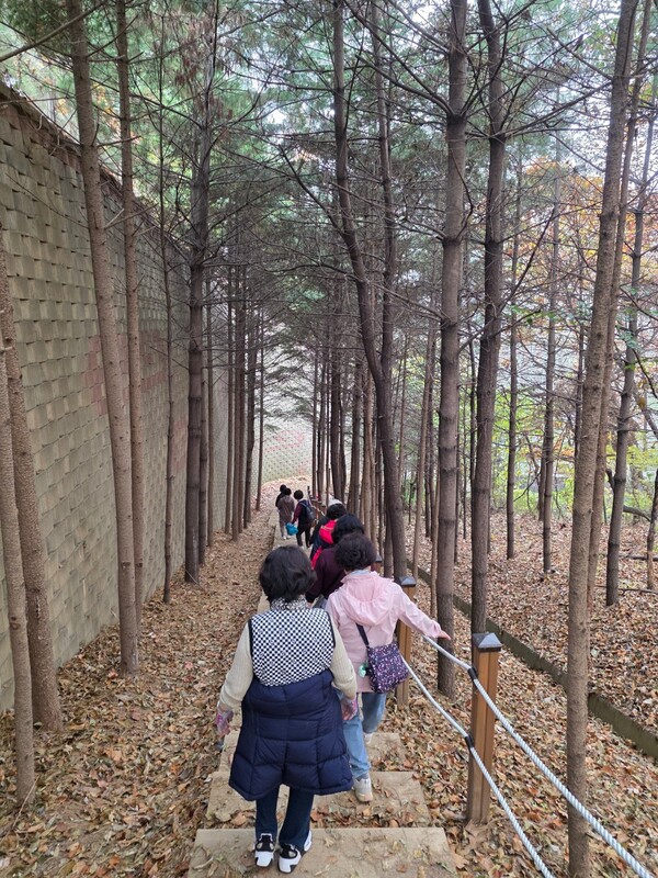 ▲ 용인특례시 보건소 건강걷기 프로그램에 참여 중인 시민들.