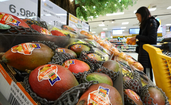 ▲ 서울 시내 한 대형마트에 수입 과일이 진열돼 있다. /뉴시스