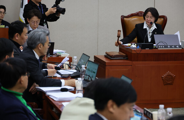 ▲ 추미애 국회 법제사법위원회 위원장이 3일 오후 서울 여의도 국회에서 열린 법제사법위원회 전체회의에서 의사봉을 두드리고 있다. /뉴시스