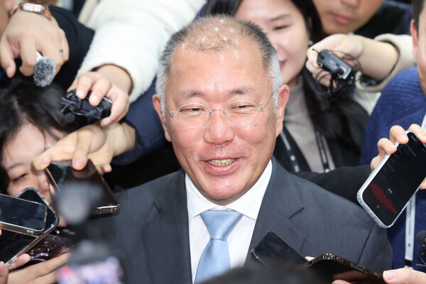 ▲ 정의선 현대차그룹 회장. /뉴시스