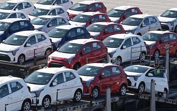 ▲ 경기 평택항 자동차전용부두에 수출용 차량이 세워져 있는 모습. /뉴시스