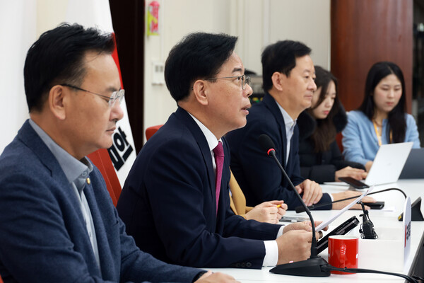 ▲ 현안 기자간담회 하는 송언석 원내대표. /뉴시스