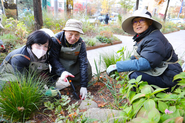 ▲ 강동 아정이 활동 현장.