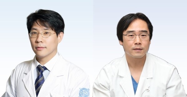 ▲ 분당서울대병원 이비인후과 최병윤 교수(좌), 건국대병원 이비인-두경부외과 김창희 교수(우).