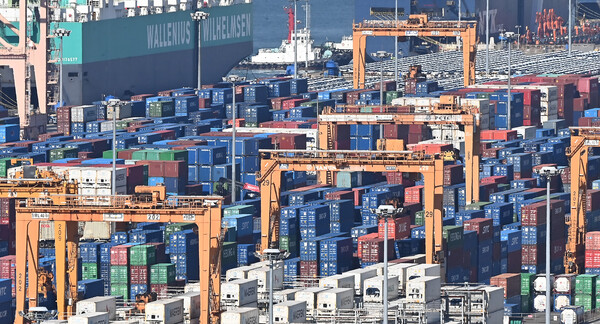 ▲ 경기 평택항에 수출입 컨테이너가 쌓여 있는 모습. /뉴시스