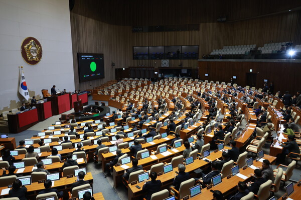 ▲ 서울 여의도 국회에서 열린 본회의 전경. /뉴시스