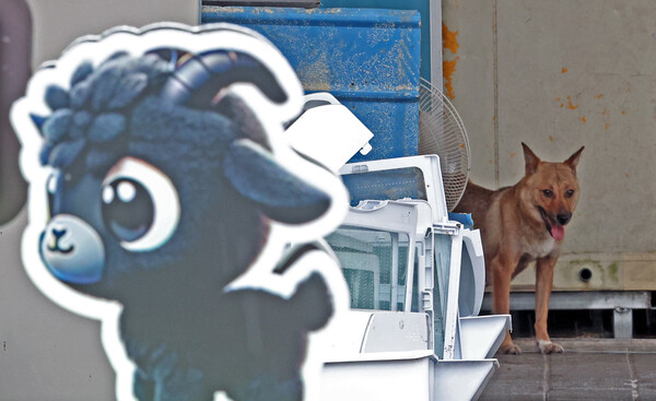 ▲ 경기 성남시 모란시장 보신탕거리에 새로 설치된 '모란 흑염소 특화거리' 입간판 뒤로 철창없이 애완견으로 길러지는 개가 자리하고 있다. /뉴시스