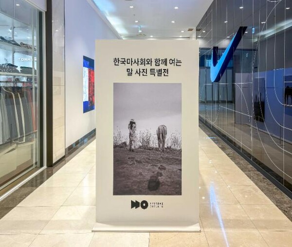 ▲ ‘한국마사회와 함께 여는 말 사진 특별전’.