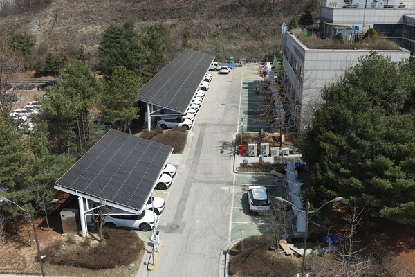 ▲ 유사사례 참고사진.