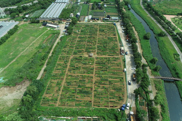 ▲ 공공 주말농장 텃밭 전경.
