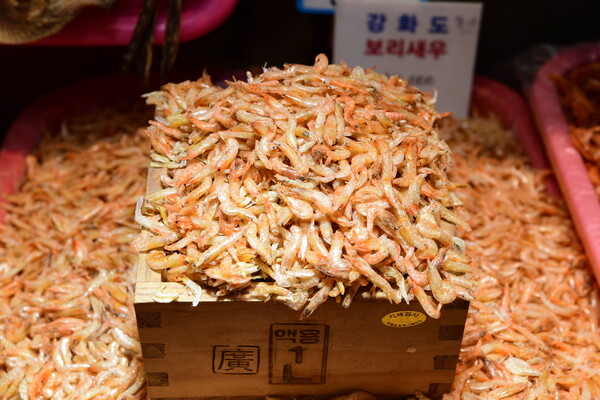 ▲ 강화도 보리새우.