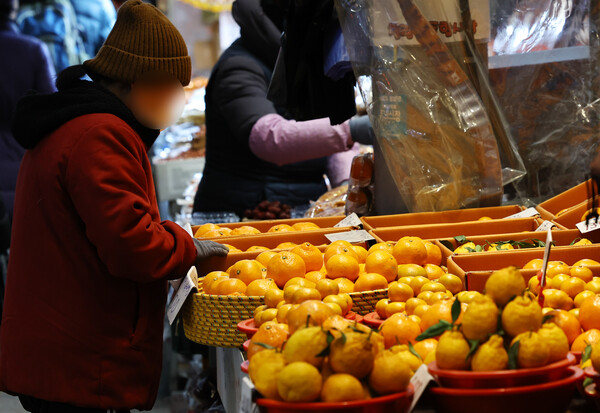 ▲ 서울 청량리 농수산물시장에서 한 고객이 귤을 고르고 있다. /뉴시스