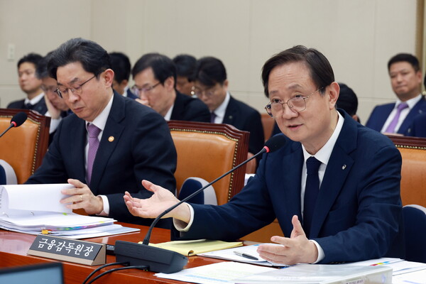 ▲ 질의에 답하는 이찬진 금감원장. /뉴시스