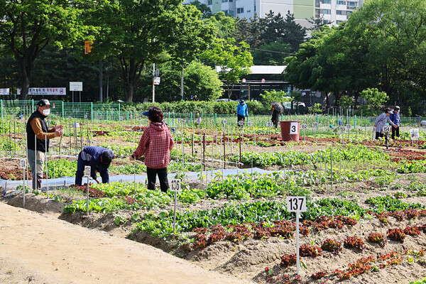 ▲ 남동 실버농장 전경.
