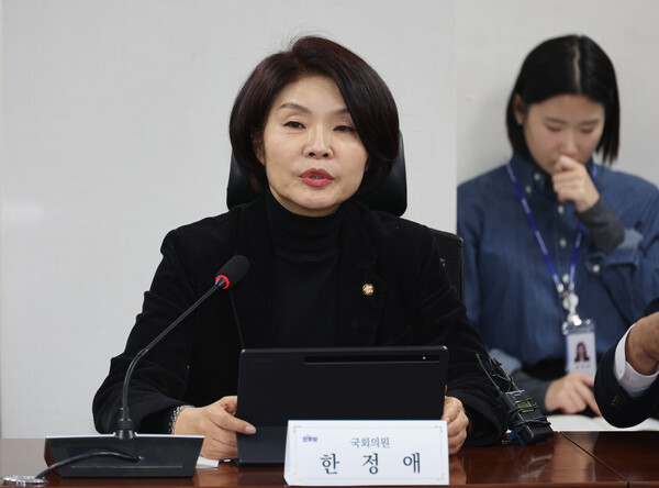 ▲ 한정애 더불어민주당 정책위의장. /뉴시스